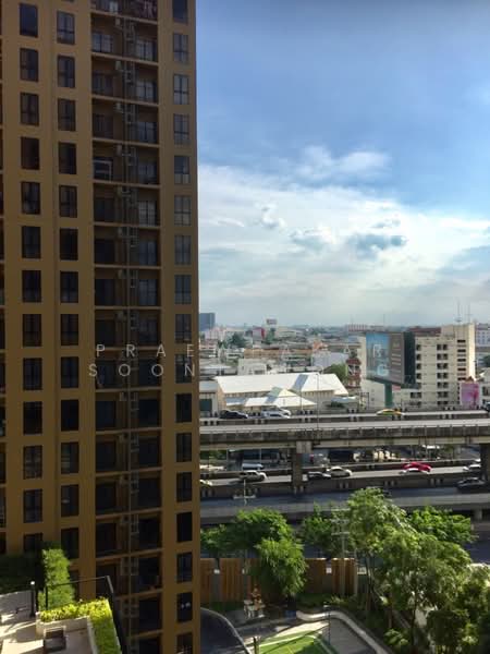 Plum Condo ปิ่นเกล้า สเตชั่น (พลัมคอนโด ปิ่นเกล้า สเตชั่น), กรุงเทพ, ถนนสมเด็จพระปิ่นเกล้า, บางยี่ขัน, บางพลัด, กรุงเทพ, 28 ตร.ม., คอนโด ให้เช่า, โดย Praewpakar Soontawong, 500353229 - DDproperty.com