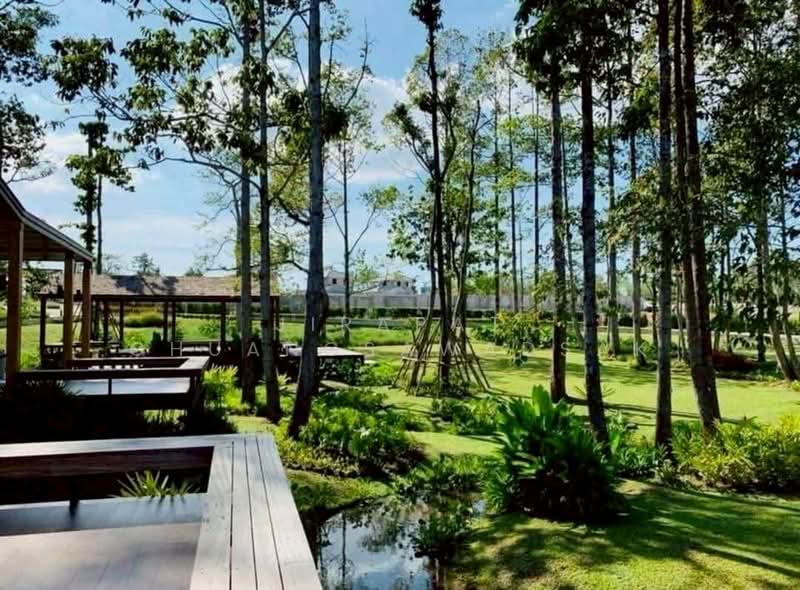 Life In The Garden Rongpo-Motorway : ไลฟ อิน เดอะ การ์เด้น โรงโป๊ะ-มอเตอร์เวย์, ชลบุรี, ซอยบางละมุง 25 (โรงโป๊ะ), ตะเคียนเตี้ย, บางละมุง, ชลบุรี, 220 ตร.ม., บ้านเดี่ยว ให้เช่า, โดย Jirapat Chuangsawadsak, 500353277 - DDproperty.com