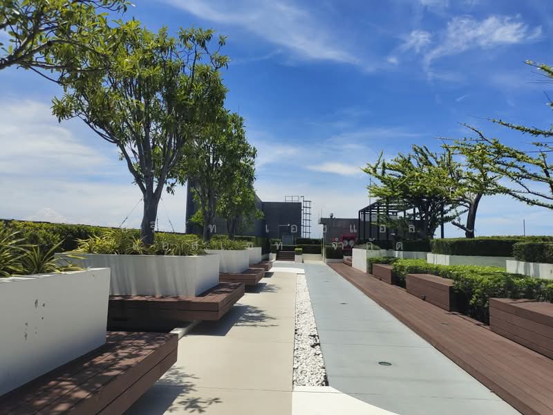 Aspire Erawan : แอสปาย เอราวัณ, สมุทรปราการ, สุขุมวิท, ปากน้ำ, เมืองสมุทรปราการ, สมุทรปราการ, 36 ตร.ม., คอนโด ขาย, โดย บริษัท เอชแอล แอสเซท จำกัด, 500353546 - DDproperty.com