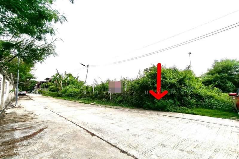 ที่ดินเปล่า เนื้อที่ 84 ตร.ว. ซอยสายไหม 47 (ใกล้บิ๊กซีสายไหม), กรุงเทพ, สายไหม, กรุงเทพ, 336 ตร.ม., ที่ดิน ขาย, โดย ชนะชาติ นนท์ตา, 500353652 - DDproperty.com