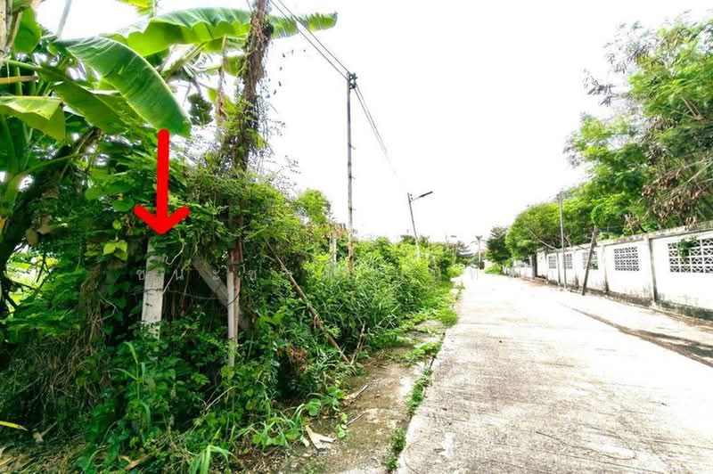 ที่ดินเปล่า เนื้อที่ 84 ตร.ว. ซอยสายไหม 47 (ใกล้บิ๊กซีสายไหม), Bangkok, Sai Mai, Bangkok, , 336 sqm, Land For Sale, by ชนะชาติ นนท์ตา, 500353652 - DDproperty.com