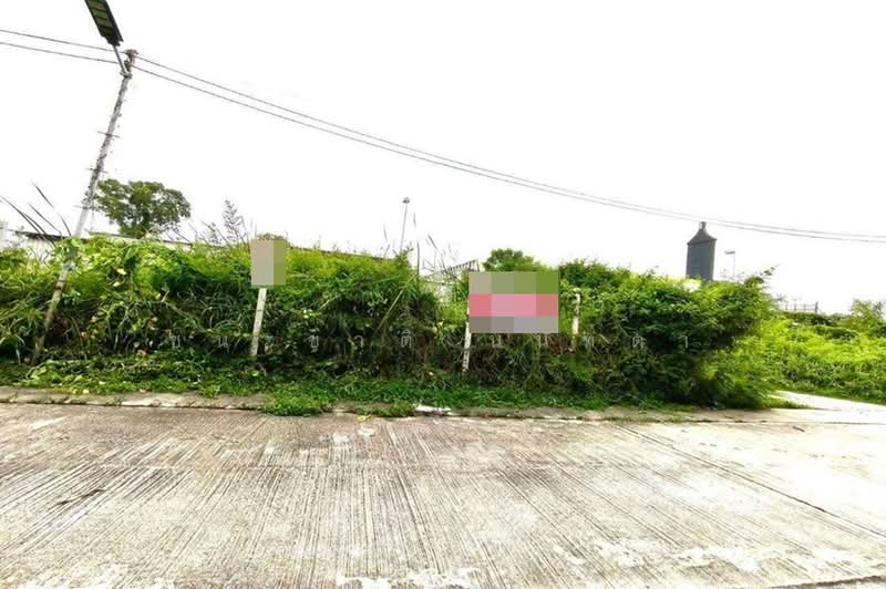ที่ดินเปล่า เนื้อที่ 84 ตร.ว. ซอยสายไหม 47 (ใกล้บิ๊กซีสายไหม), Bangkok, Sai Mai, Bangkok, , 336 sqm, Land For Sale, by ชนะชาติ นนท์ตา, 500353652 - DDproperty.com