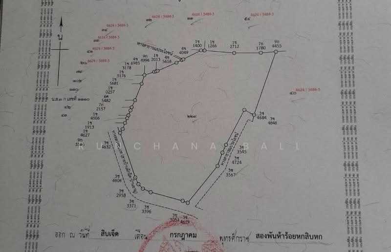 L118-HKT : Prime Phuket Investment Land | 51 Rai Freehold Parcel Near Yamu Pier & Ao Po Grand Marina, Phuket, Pa Khlok, Thalang, Phuket, , 81,600 sqm, Land For Sale, by Runchana Ball, 500353664 - DDproperty.com
