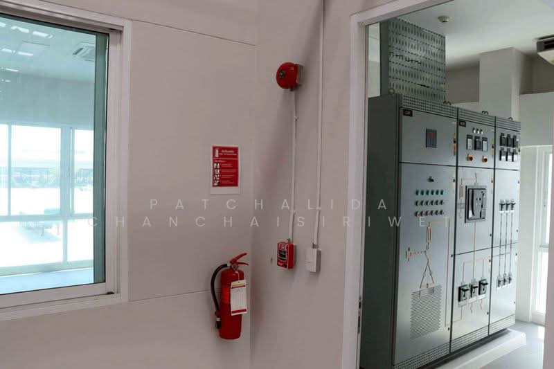 Factory / Warehouse for Rent 1,800 sq.m. Bangna–Trad Road, KM 30, Samut Prakan, Samut Prakan, Ban Rakat, Bang Bo, Samut Prakan, , 1,800 sqm, Warehouse/Factory For Rent, by Patchalida Chanchaisiriwet, 500353790 - DDproperty.com
