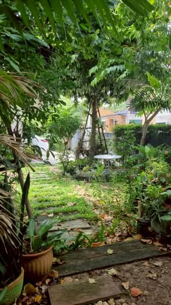 Moobaan Chollada Suvarnabhumi, Samut Prakan, Sri Waree Noi Road, Srisa Chorakhe Noi, Bang Sao Thong, Samut Prakan, 4 Bedrooms, 394 sqm, Single Detached House For Sale, by Sataporn Jalao, 500354194 - DDproperty.com