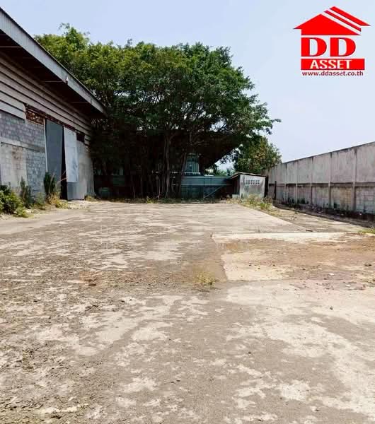 ขายที่ดินพร้อมโรงงาน อำเภอบางบ่อ จ.สมุทรปราการ รหัสทรัพย์ : F8043, สมุทรปราการ, คลองนิยมยาตรา, บางบ่อ, สมุทรปราการ, 1,600 ตร.ม., ที่ดิน ขาย, โดย DD Asset (Thailand) Co.,Ltd, 500354408 - DDproperty.com