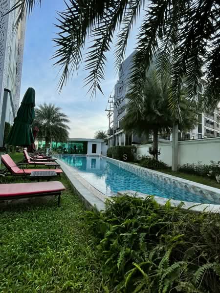 Olympus City Garden : โอลิมปัส ซิตี้ การ์เด้น, ชลบุรี, ซอยกอไผ่ 4, หนองปรือ, บางละมุง, ชลบุรี, 27 ตร.ม., คอนโด ขาย, โดย Harrison Chong, 500354423 - DDproperty.com