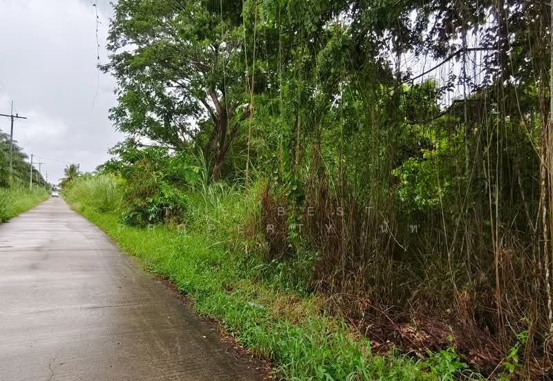 ที่ดินท่าซัก นครศรีธรรมราช, นครศรีธรรมราช, ท่าซัก, เมืองนครศรีธรรมราช, นครศรีธรรมราช, 576 ตร.ม., ที่ดิน ขาย, โดย The Best Property นัท, 500354449 - DDproperty.com