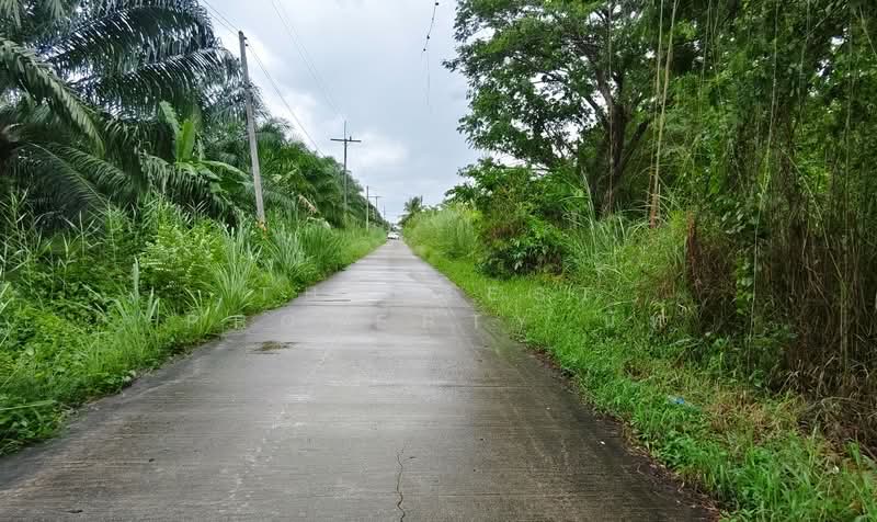 ที่ดินท่าซัก นครศรีธรรมราช, นครศรีธรรมราช, ท่าซัก, เมืองนครศรีธรรมราช, นครศรีธรรมราช, 576 ตร.ม., ที่ดิน ขาย, โดย The Best Property นัท, 500354449 - DDproperty.com