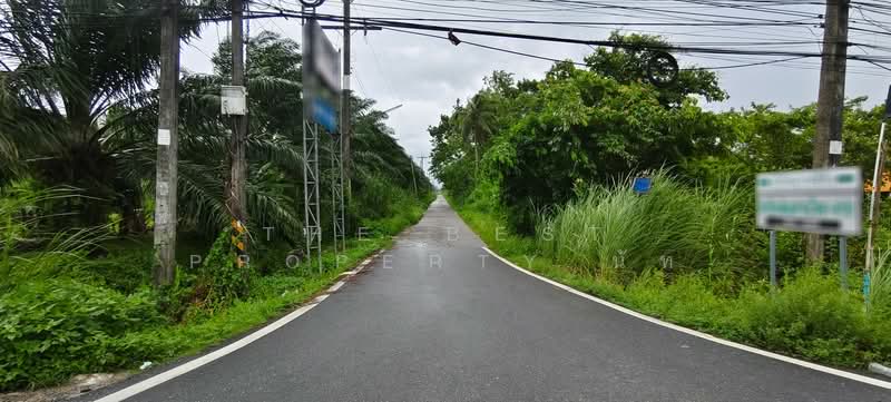 ที่ดินท่าซัก นครศรีธรรมราช, นครศรีธรรมราช, ท่าซัก, เมืองนครศรีธรรมราช, นครศรีธรรมราช, 576 ตร.ม., ที่ดิน ขาย, โดย The Best Property นัท, 500354449 - DDproperty.com
