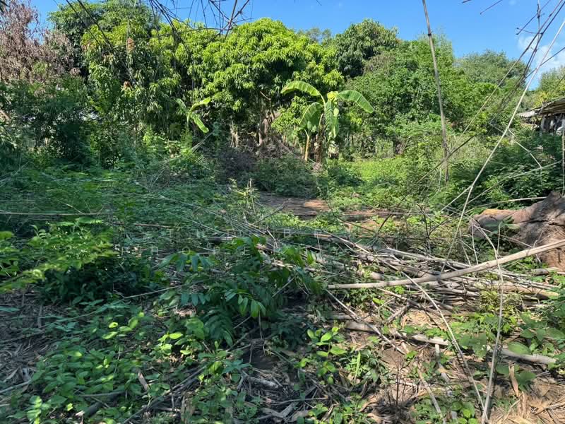 ที่ดินแปลงยาว ฉะเชิงเทรา, Chachoengsao, Plaeng Yao, Chachoengsao, , 400 sqm, Land For Sale, by The Best Property ฟ้า, 500354455 - DDproperty.com