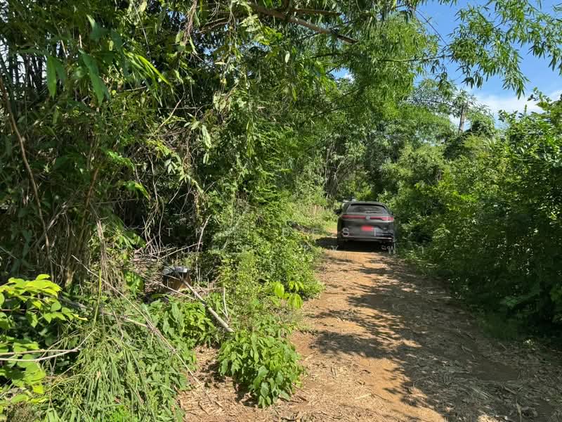 ที่ดินแปลงยาว ฉะเชิงเทรา, Chachoengsao, Plaeng Yao, Chachoengsao, , 400 sqm, Land For Sale, by The Best Property ฟ้า, 500354455 - DDproperty.com