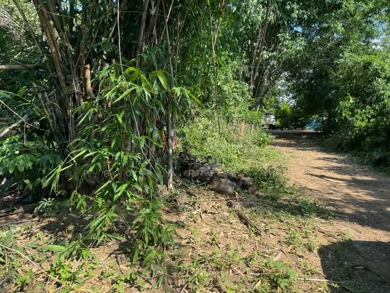 ที่ดินแปลงยาว ฉะเชิงเทรา, Chachoengsao, Plaeng Yao, Chachoengsao, , 400 sqm, Land For Sale, by The Best Property ฟ้า, 500354455 - DDproperty.com