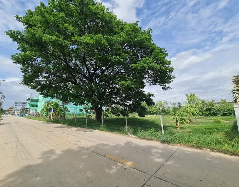 .Land for sale in Nonthaburi, 1 rai, Bang Bua Thong, Bang Bua Thong-Suphanburi Road, Nonthaburi, Lahan, Bang Bua Thong, Nonthaburi, , 1,600 sqm, Land For Sale, by Fareeda Thaipatan, 500354487 - DDproperty.com