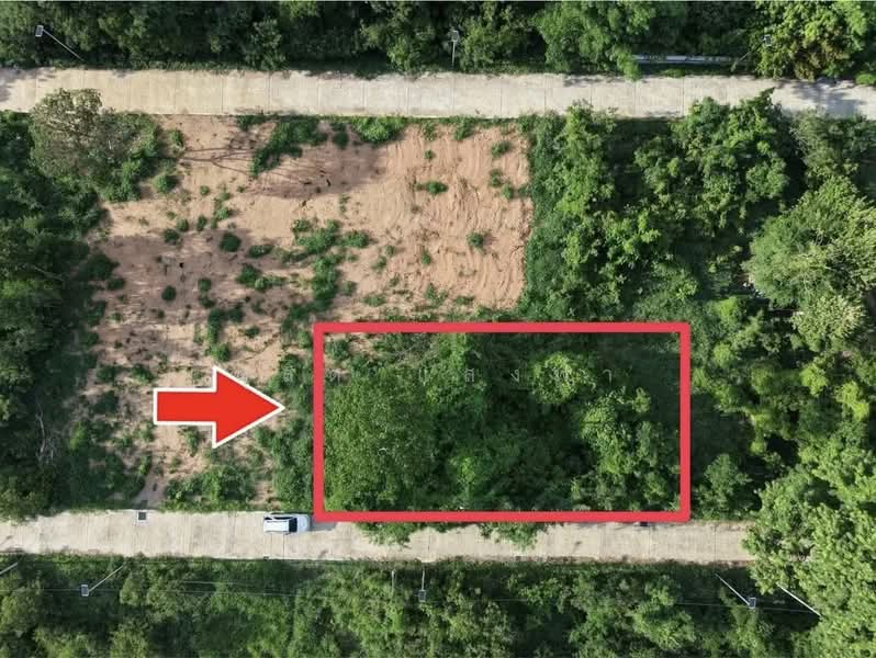 ขายที่ดินแปลงสวย 154 ตรว. วิวเขาฉลากบางพระ ศรีราชา, Chon Buri (Pattaya), Bang Phra, Si Racha, Chon Buri (Pattaya), , 616 sqm, Land For Sale, by Dusit Saengfa, 500354546 - DDproperty.com