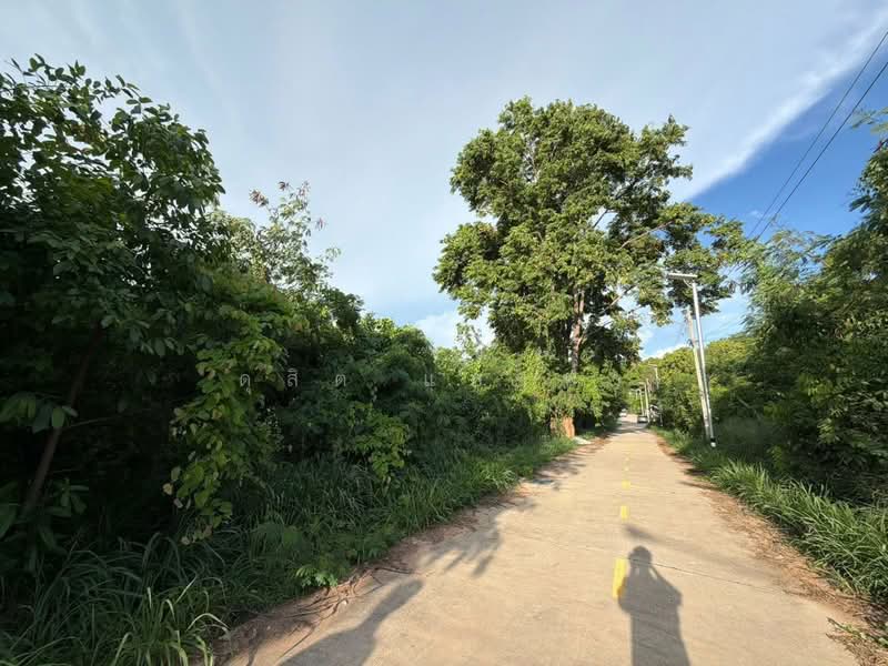 ขายที่ดินแปลงสวย 154 ตรว. วิวเขาฉลากบางพระ ศรีราชา, Chon Buri (Pattaya), Bang Phra, Si Racha, Chon Buri (Pattaya), , 616 sqm, Land For Sale, by Dusit Saengfa, 500354546 - DDproperty.com