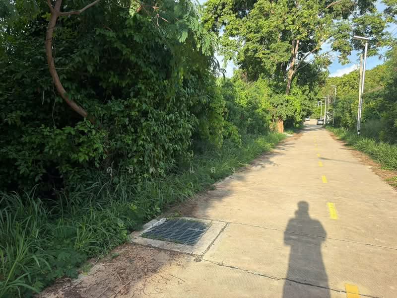 ขายที่ดินแปลงสวย 154 ตรว. วิวเขาฉลากบางพระ ศรีราชา, Chon Buri (Pattaya), Bang Phra, Si Racha, Chon Buri (Pattaya), , 616 sqm, Land For Sale, by Dusit Saengfa, 500354546 - DDproperty.com