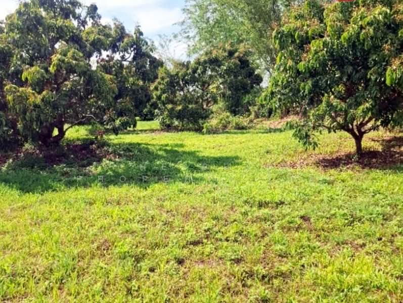 ที่ดินเทิง เชียงราย, Chiang Rai, Wiang, Thoeng, Chiang Rai, , 4,800 sqm, Land For Sale, by The Best Property ไนล์, 500354554 - DDproperty.com