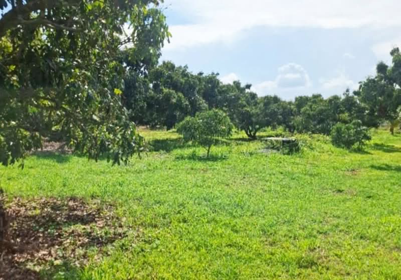 ที่ดินเทิง เชียงราย, Chiang Rai, Wiang, Thoeng, Chiang Rai, , 4,800 sqm, Land For Sale, by The Best Property ไนล์, 500354554 - DDproperty.com