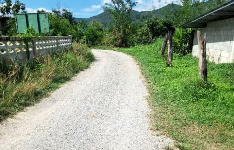 ที่ดินเทิง เชียงราย, Chiang Rai, Wiang, Thoeng, Chiang Rai, , 4,800 sqm, Land For Sale, by The Best Property ไนล์, 500354554 - DDproperty.com