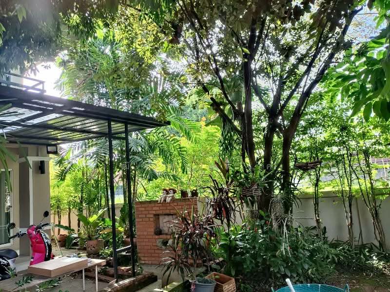 Faham, Chiang Mai, Fa Ham, Muang Chiang Mai, Chiang Mai, 4 Bedrooms, 180 sqm, Single Detached House For Rent, by วุฒิภัทร มิ่งคำ, 500354558 - DDproperty.com