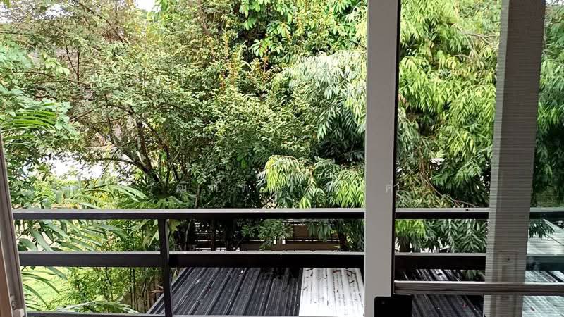 Faham, Chiang Mai, Fa Ham, Muang Chiang Mai, Chiang Mai, 4 Bedrooms, 180 sqm, Single Detached House For Rent, by วุฒิภัทร มิ่งคำ, 500354558 - DDproperty.com