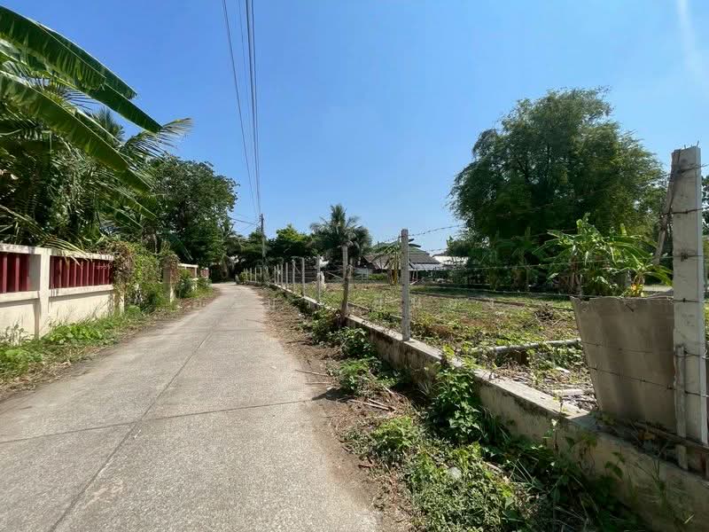 ขายทีดิน โซนสารภี, Chiang Mai, Chai Sa Than, Saraphi, Chiang Mai, , 800 sqm, Land For Sale, by Armon Yuenyong, 500354583 - DDproperty.com