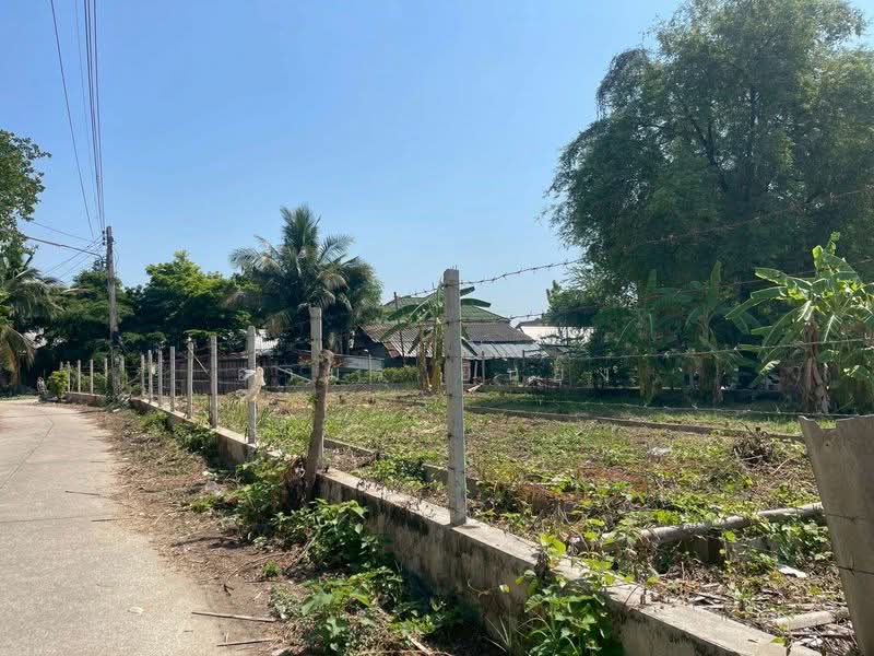 ขายทีดิน โซนสารภี, Chiang Mai, Chai Sa Than, Saraphi, Chiang Mai, , 800 sqm, Land For Sale, by Armon Yuenyong, 500354583 - DDproperty.com