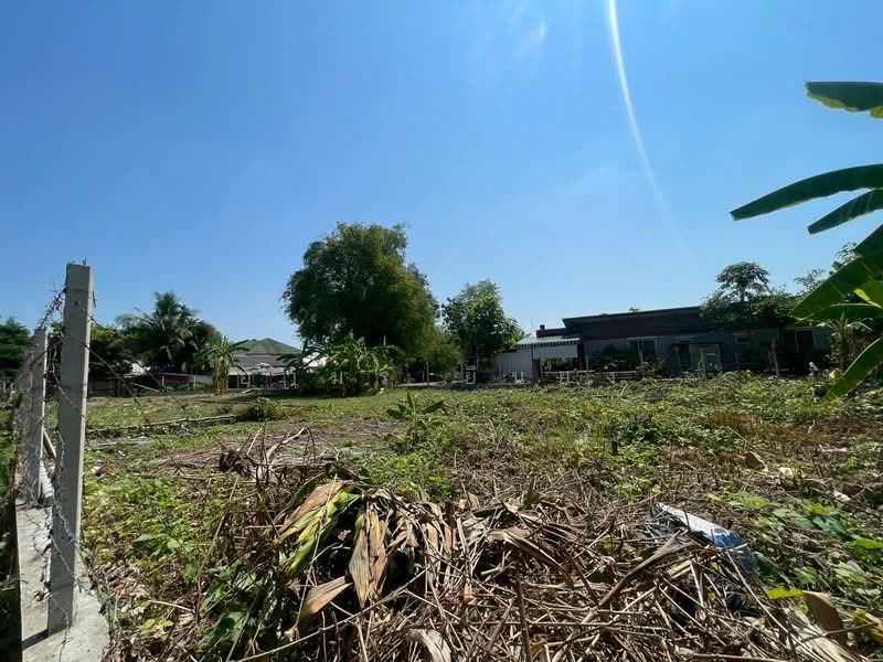 ขายทีดิน โซนสารภี, เชียงใหม่, ไชยสถาน, สารภี, เชียงใหม่, 800 ตร.ม., ที่ดิน ขาย, โดย อามร ยืนยง, 500354583 - DDproperty.com
