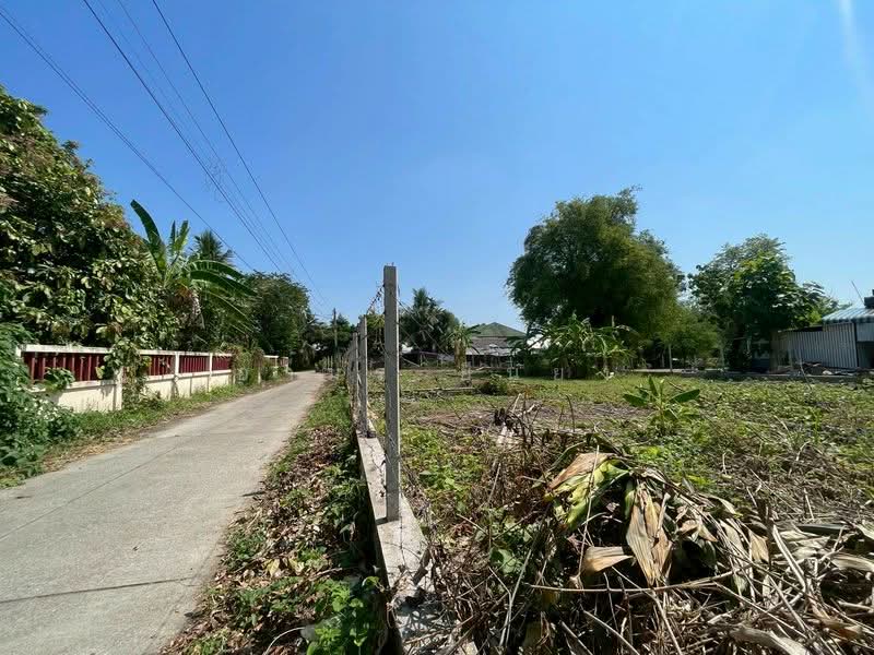 ขายทีดิน โซนสารภี, Chiang Mai, Chai Sa Than, Saraphi, Chiang Mai, , 800 sqm, Land For Sale, by Armon Yuenyong, 500354583 - DDproperty.com