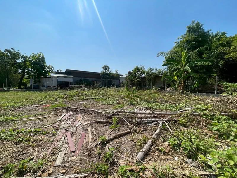 ขายทีดิน โซนสารภี, Chiang Mai, Chai Sa Than, Saraphi, Chiang Mai, , 800 sqm, Land For Sale, by Armon Yuenyong, 500354583 - DDproperty.com