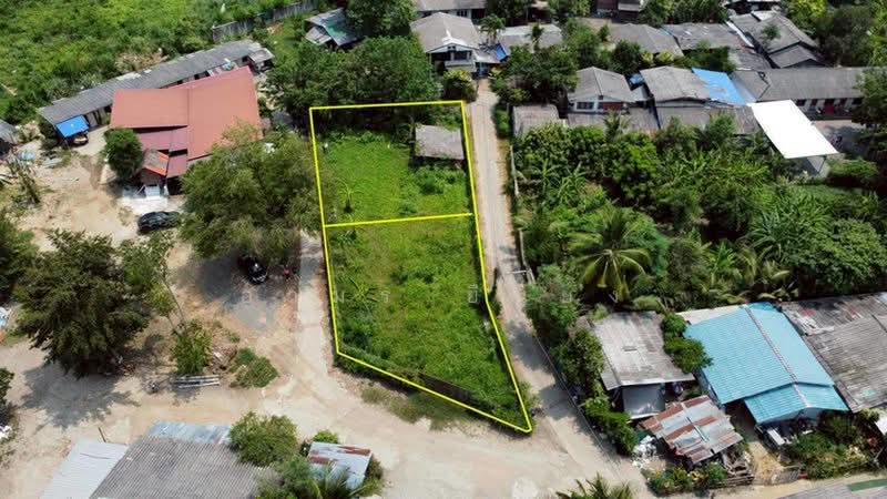 ขายทีดิน โซนสารภี, Chiang Mai, Chai Sa Than, Saraphi, Chiang Mai, , 800 sqm, Land For Sale, by Armon Yuenyong, 500354583 - DDproperty.com