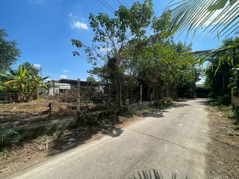 ขายทีดิน โซนสารภี, Chiang Mai, Chai Sa Than, Saraphi, Chiang Mai, , 800 sqm, Land For Sale, by Armon Yuenyong, 500354583 - DDproperty.com