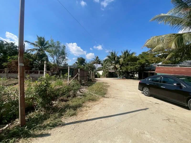 ขายทีดิน โซนสารภี, Chiang Mai, Chai Sa Than, Saraphi, Chiang Mai, , 800 sqm, Land For Sale, by Armon Yuenyong, 500354583 - DDproperty.com