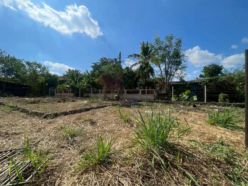 ขายทีดิน โซนสารภี, เชียงใหม่, ไชยสถาน, สารภี, เชียงใหม่, 800 ตร.ม., ที่ดิน ขาย, โดย อามร ยืนยง, 500354583 - DDproperty.com