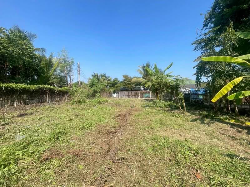 ขายทีดิน โซนสารภี, เชียงใหม่, ไชยสถาน, สารภี, เชียงใหม่, 800 ตร.ม., ที่ดิน ขาย, โดย อามร ยืนยง, 500354583 - DDproperty.com