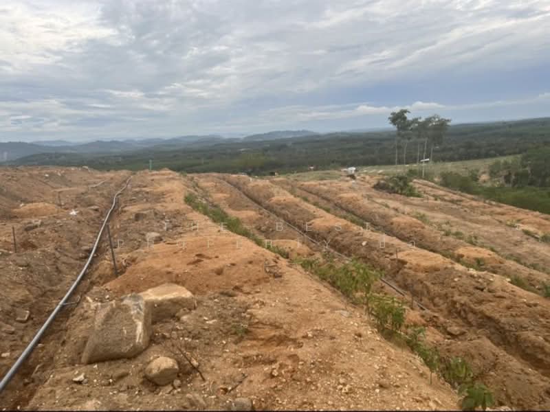ที่ดินมะขาม จันทบุรี, Chanthaburi, Ang Khiri, Makham, Chanthaburi, , 36,920 sqm, Land For Sale, by The Best Property ป้อ, 500354586 - DDproperty.com