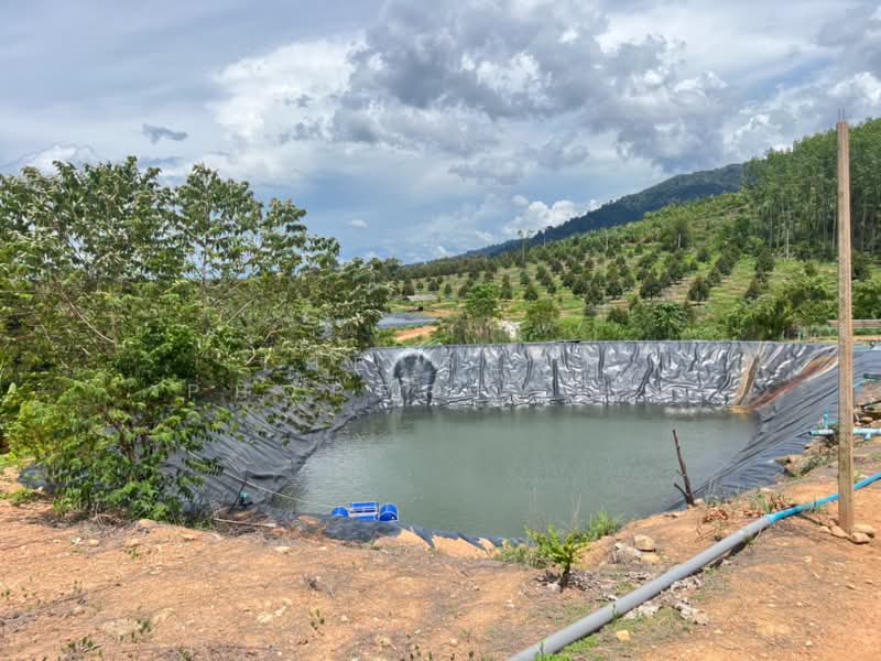 ที่ดินมะขาม จันทบุรี, จันทบุรี, อ่างคีรี, มะขาม, จันทบุรี, 36,920 ตร.ม., ที่ดิน ขาย, โดย The Best Property ป้อ, 500354586 - DDproperty.com