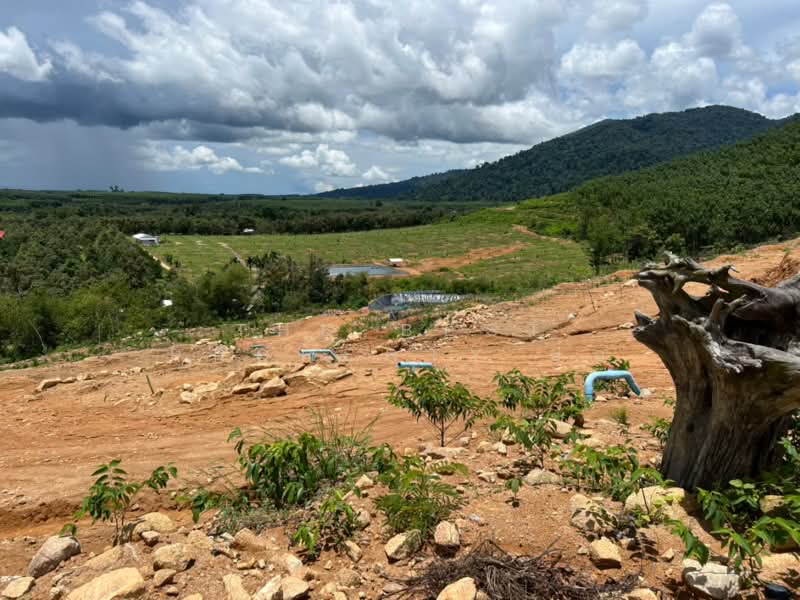 ที่ดินมะขาม จันทบุรี, จันทบุรี, อ่างคีรี, มะขาม, จันทบุรี, 36,920 ตร.ม., ที่ดิน ขาย, โดย The Best Property ป้อ, 500354586 - DDproperty.com