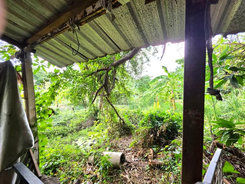 บ้านเดี่ยวพร้อมที่ดินหนองแขม กรุงเทพมหานคร, กรุงเทพ, หนองแขม, กรุงเทพ, 100 ตร.ม., บ้านเดี่ยว ขาย, โดย The Best Property Agent วอร์, 500354609 - DDproperty.com