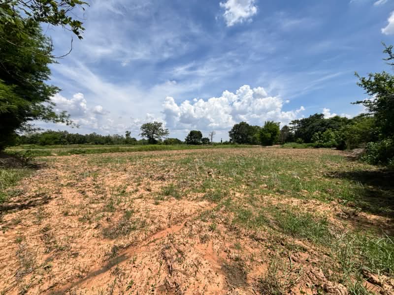 ที่ดินบ้านไผ่ ขอนแก่น, ขอนแก่น, ในเมือง, บ้านไผ่, ขอนแก่น, 21,632 ตร.ม., ที่ดิน ขาย, โดย The Best Property พร, 500354652 - DDproperty.com