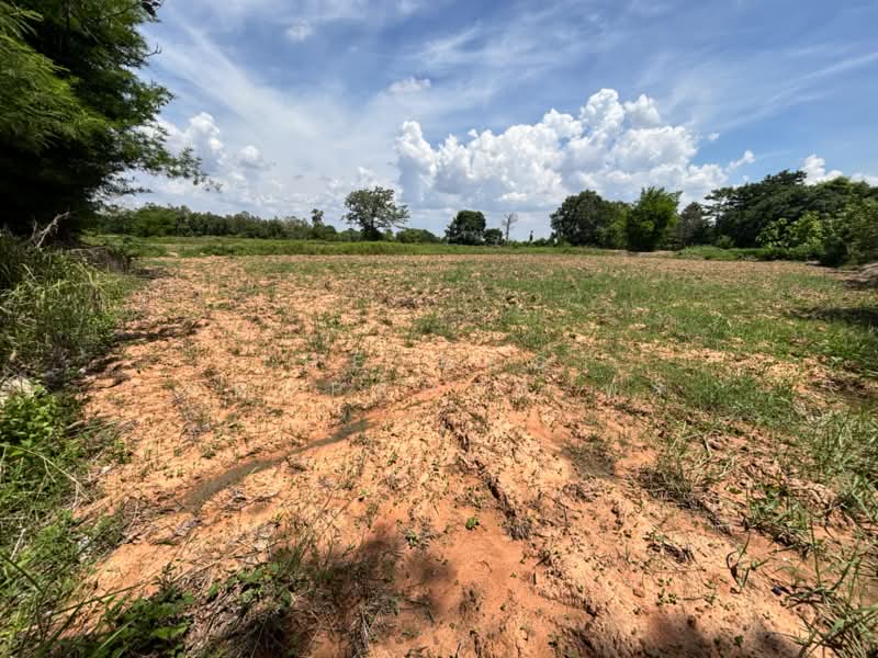 ที่ดินบ้านไผ่ ขอนแก่น, Khon Kaen, Nai Muang, Ban Phai, Khon Kaen, , 21,632 sqm, Land For Sale, by The Best Property พร, 500354652 - DDproperty.com