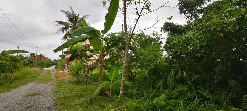 ที่ดินปากนคร นครศรีธรรมราช, Nakhon Si Thammarat, Pak Nakhon, Muang Nakhon Sri Thammarat, Nakhon Si Thammarat, , 184 sqm, Land For Sale, by The Best Property นัท, 500354658 - DDproperty.com
