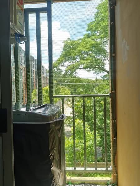 Dcondo Nim, Chiang Mai, 239 Hwy Chiang Mai-Lampang Frontage Road, Fa Ham, Muang Chiang Mai, Chiang Mai, 1 Bedroom, 30 sqm, Condo For Rent, by Best Choice Proprety, 500354671 - DDproperty.com