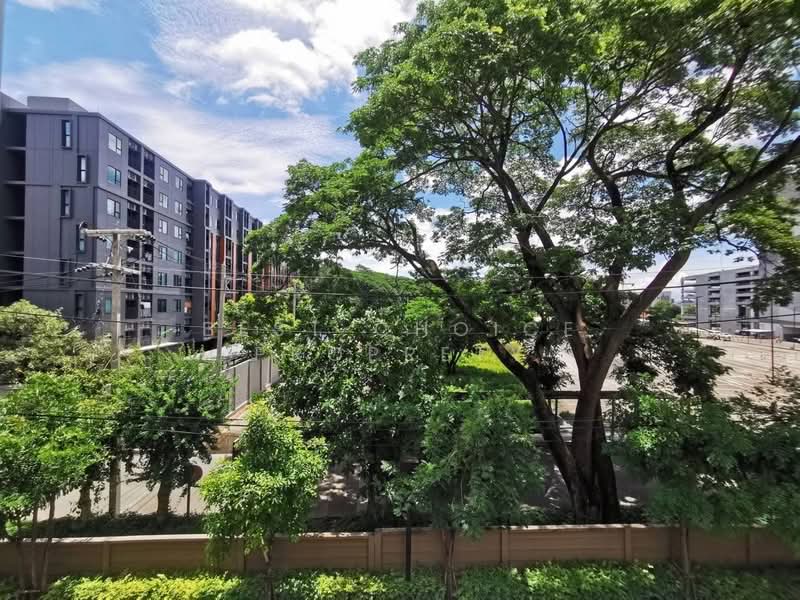 Dcondo Nim, Chiang Mai, 239 Hwy Chiang Mai-Lampang Frontage Road, Fa Ham, Muang Chiang Mai, Chiang Mai, 1 Bedroom, 30 sqm, Condo For Rent, by Best Choice Proprety, 500354671 - DDproperty.com