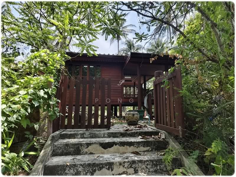 บ้านสวนทรงไทย ดำเนินสะดวก, ราชบุรี, ตาหลวง, ดำเนินสะดวก, ราชบุรี, 300 ตร.ม., บ้านเดี่ยว ขาย, โดย Pong, 500354687 - DDproperty.com