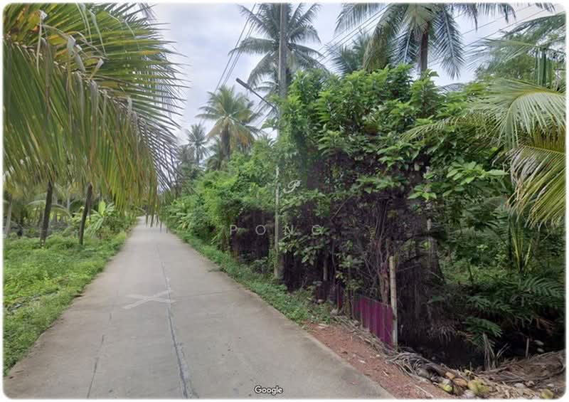 บ้านสวนทรงไทย ดำเนินสะดวก, ราชบุรี, ตาหลวง, ดำเนินสะดวก, ราชบุรี, 300 ตร.ม., บ้านเดี่ยว ขาย, โดย Pong, 500354687 - DDproperty.com