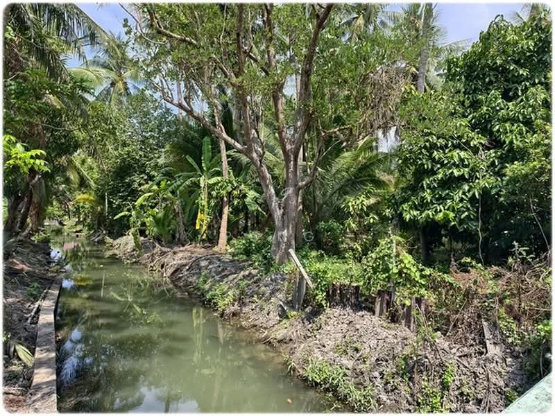 Waterfront Thai House in Amphawa, Ratchaburi, Ta Luang, Damnoen Saduak, Ratchaburi, 4 Bedrooms, 300 sqm, Single Detached House For Sale, by Pong, 500354687 - DDproperty.com
