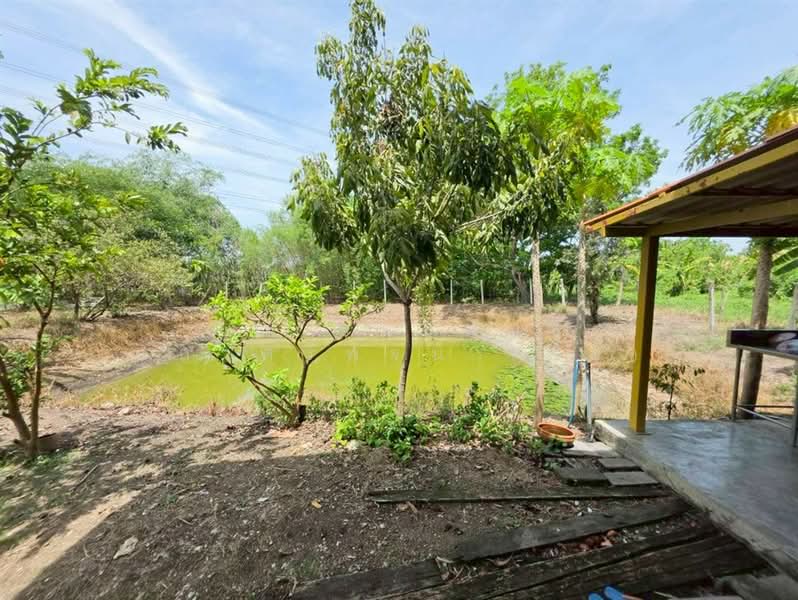 บ้านเดี่ยว 2 ชั้น 400 ตร.ว. ใกล้ร้านขายเหล็กนนทบุรี ทวีรุ่งเรืองสตีล บางบัวทอง นนทบุรี, นนทบุรี, ถนนโยธาธิการนนทบุรี5010, ไทรน้อย, นนทบุรี, 500 ตร.ม., บ้านเดี่ยว ขาย, โดย คุณ ชนะพันธุ์ แก้วศรีพจน์ (ต่อ), 500354699 - DDproperty.com