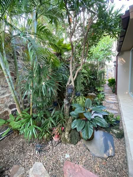 Silk Road Place, Chon Buri (Pattaya), Chaiyapruek 2 Road, Bang Lamung, Bang Lamung (Pattaya), Chon Buri (Pattaya), 3 Bedrooms, 452 sqm, Single Detached House For Sale, by Praveen Peter, 500354769 - DDproperty.com
